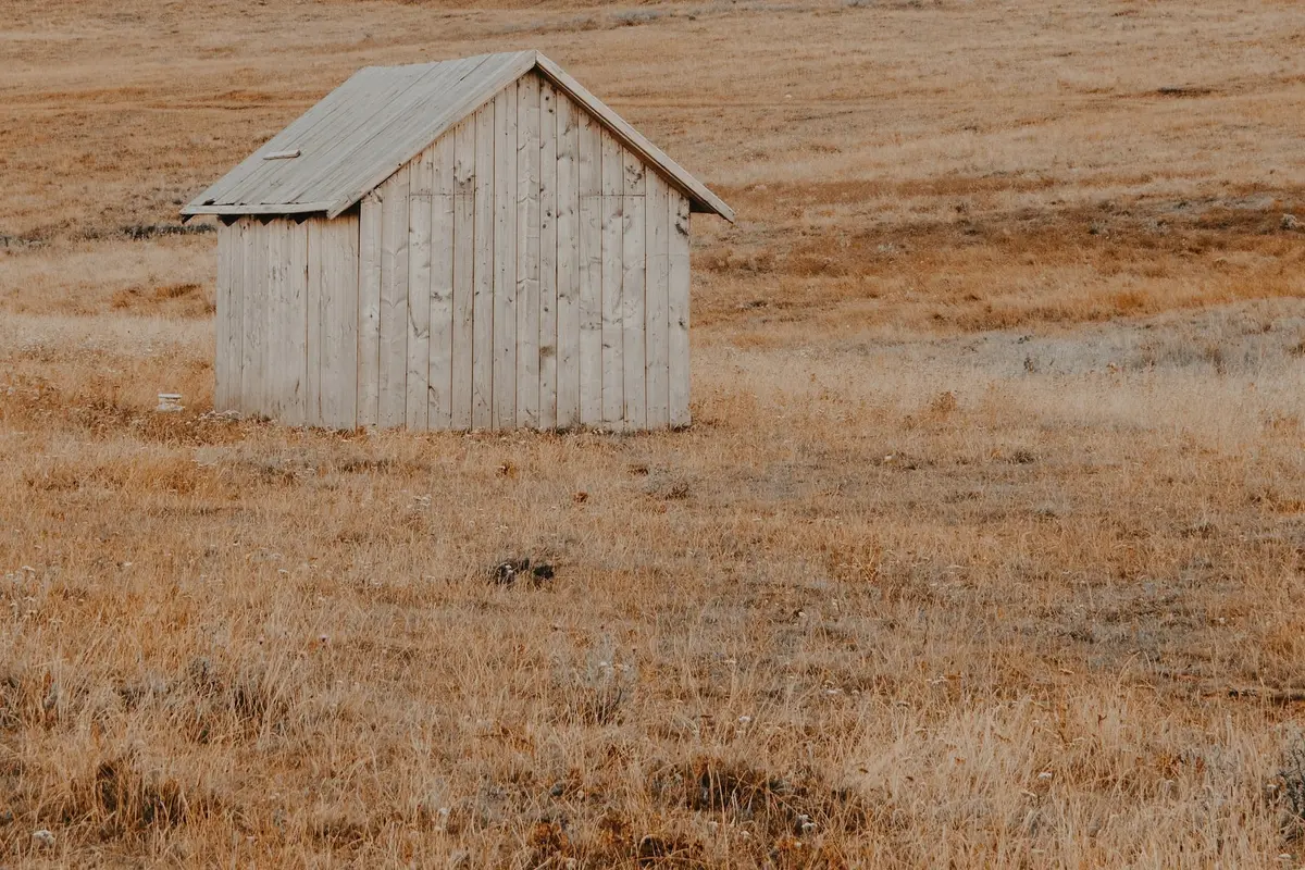 A small shed of weathered grey boards with a shallow pitched roof, alone in a field of dry orange grass.