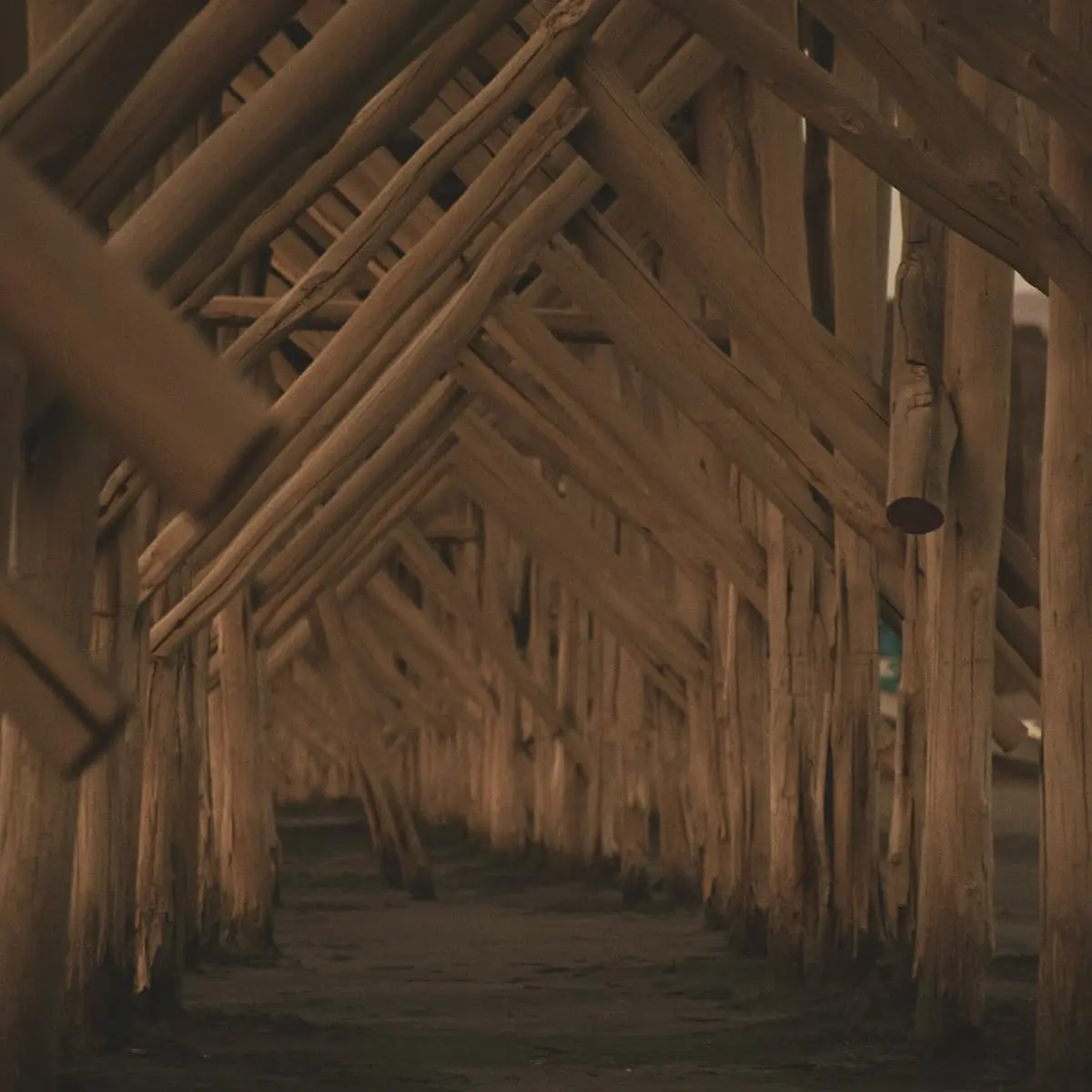 The inside of an old timber building, a row of rough poles and diagonal braces forming a tunnel of crossing timbers.